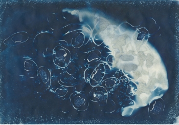 https://bryanhutchison.com/bryanhutchison.com/indexhibit/files/gimgs/th-13_Brandon_Twede-5-Cyanotype.jpg